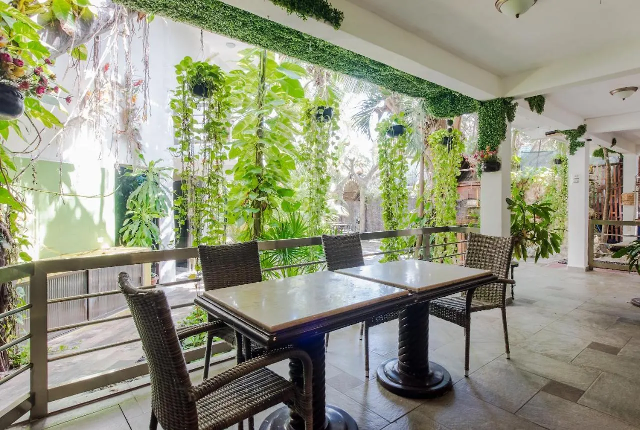 Bed & Breakfast Private Villa 10 Rooms, Private Pool, Walk To Beach Playa del Carmen