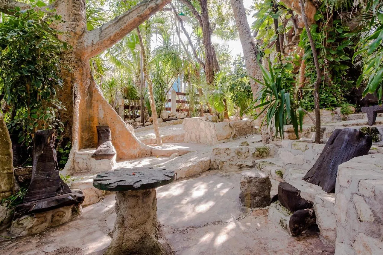 Bed & Breakfast Private Villa 10 Rooms, Private Pool, Walk To Beach Playa del Carmen