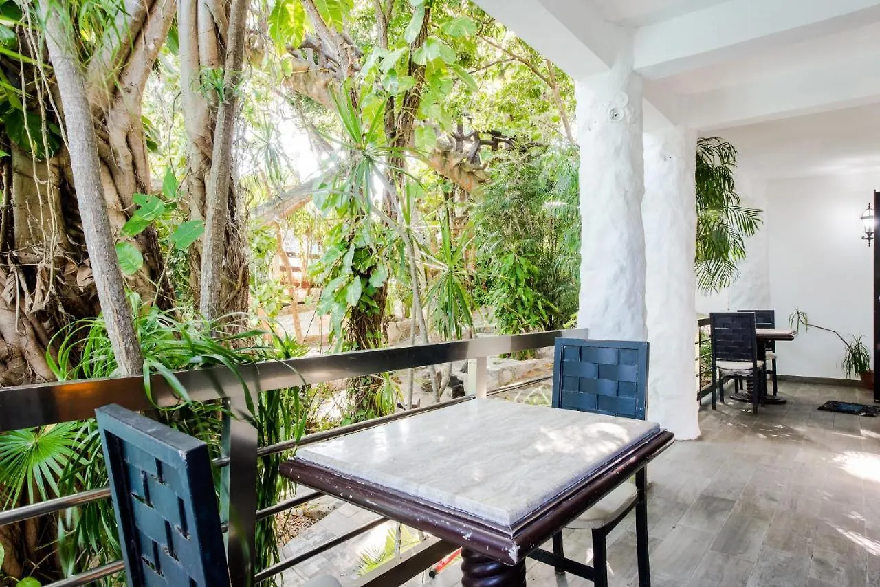 Bed & Breakfast Private Villa 10 Rooms, Private Pool, Walk To Beach Playa del Carmen