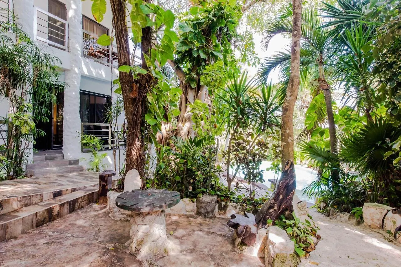 Private Villa 10 Rooms, Private Pool, Walk To Beach Playa del Carmen Bed & Breakfast