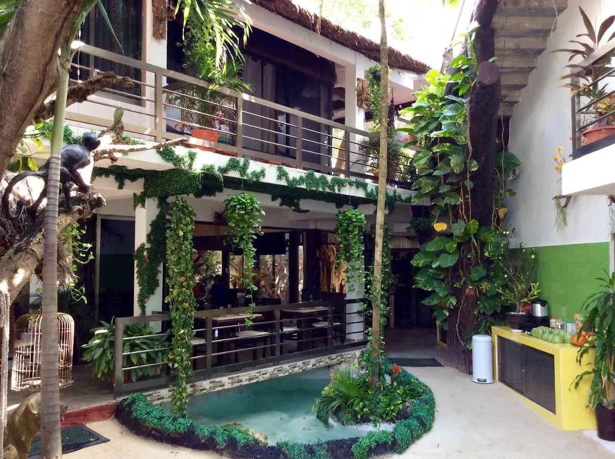 Private Villa 10 Rooms, Private Pool, Walk To Beach Playa del Carmen 0*,  Mexico